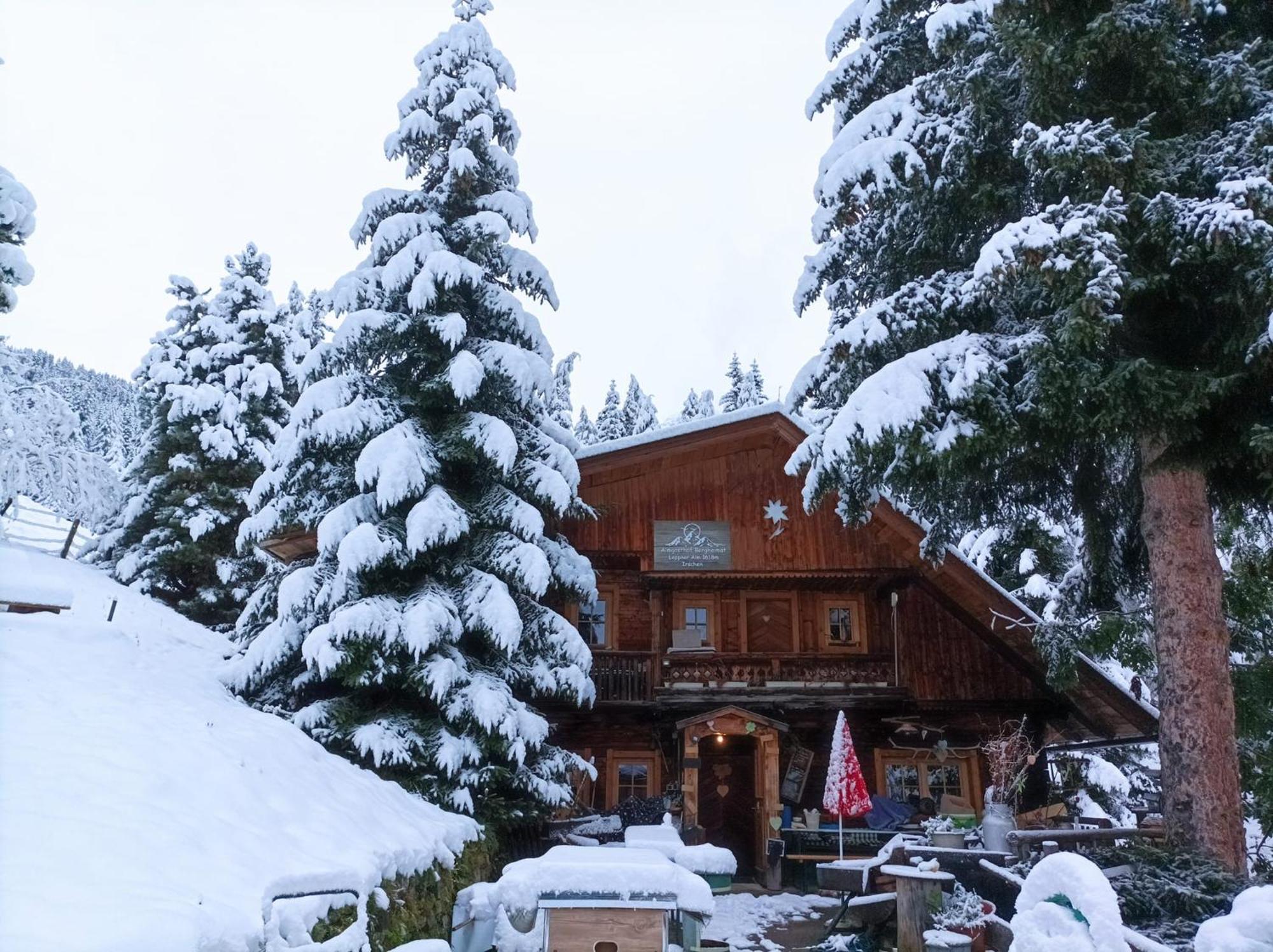 B&B,Bergheimat Oase Irschen Экстерьер фото