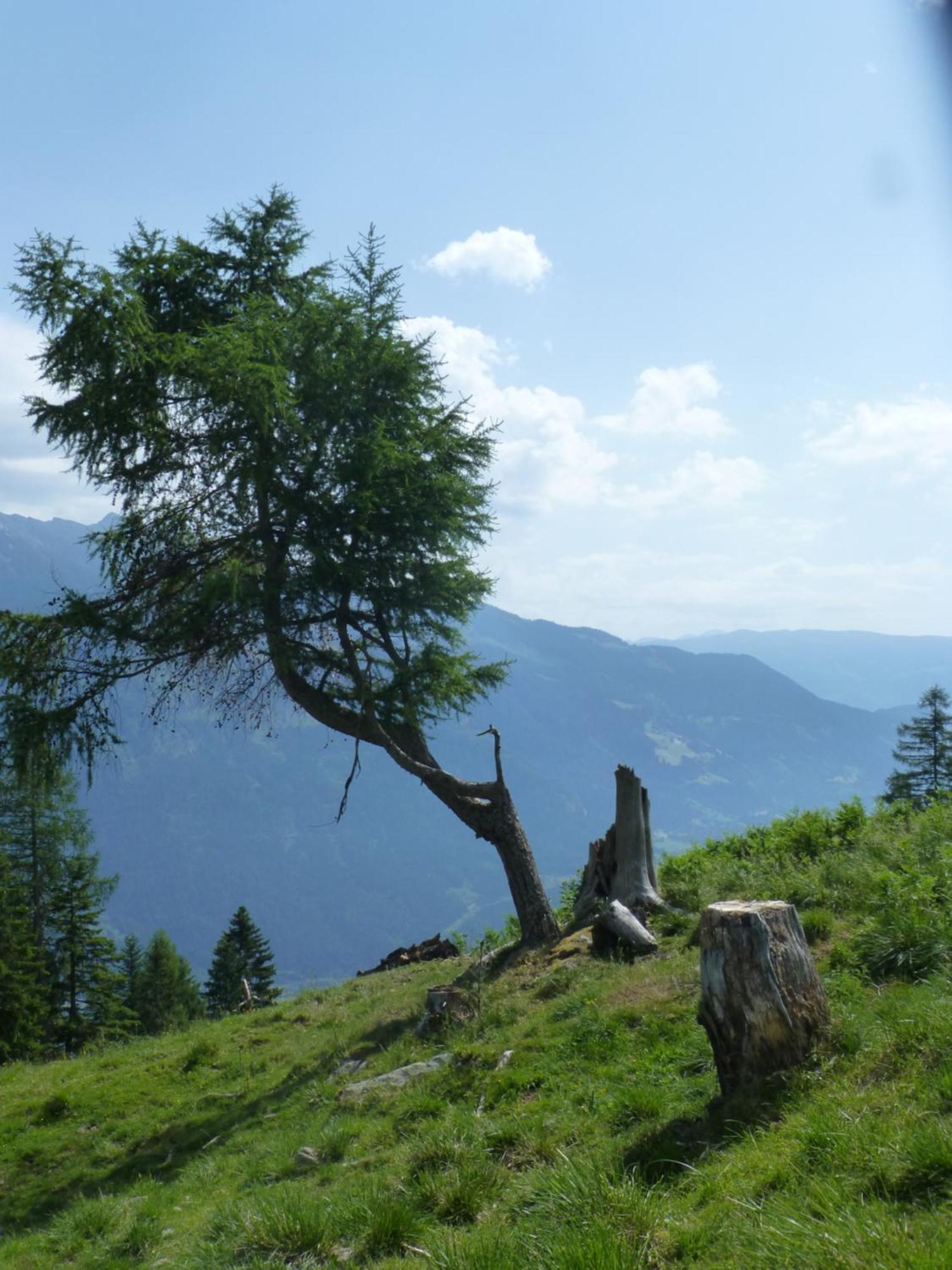 B&B,Bergheimat Oase Irschen Экстерьер фото
