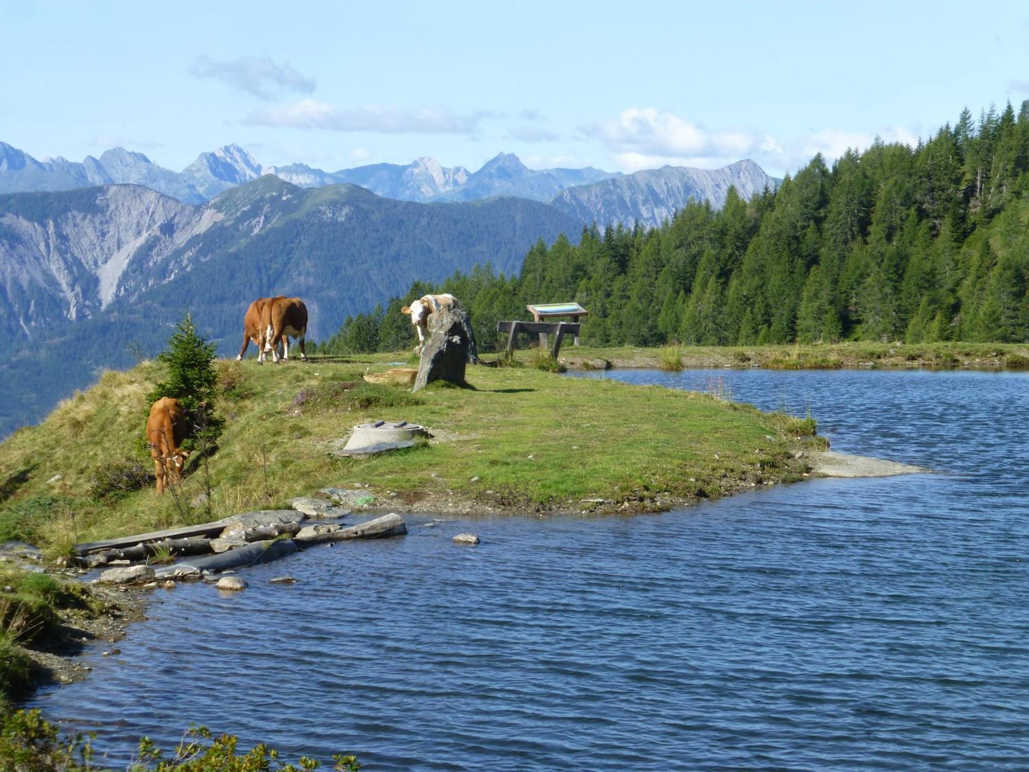B&B,Bergheimat Oase Irschen Экстерьер фото