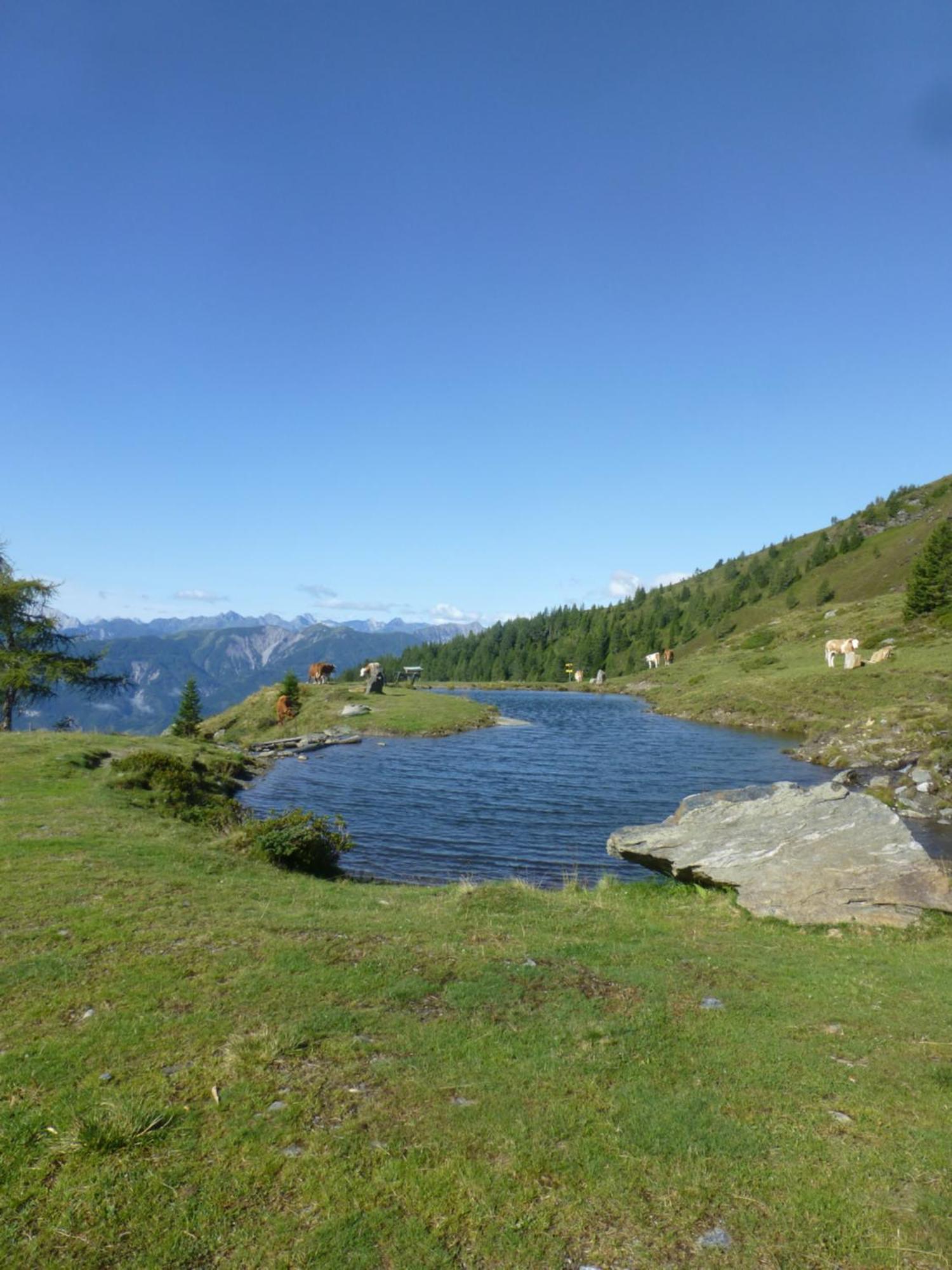 B&B,Bergheimat Oase Irschen Экстерьер фото
